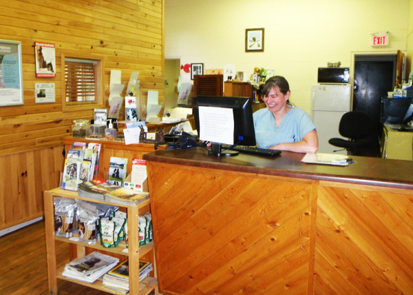 Working in the office